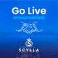 Successful implementation of RadiantFleet Solutions at Scylla Group